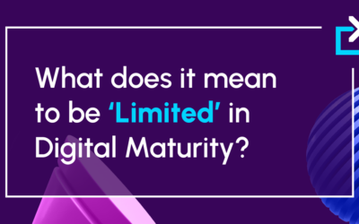 What does it mean to be ‘Limited’​ in Digital Maturity?