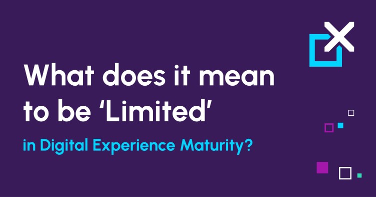What does it mean to be ‘Limited’​ in Digital Experience Maturity?
