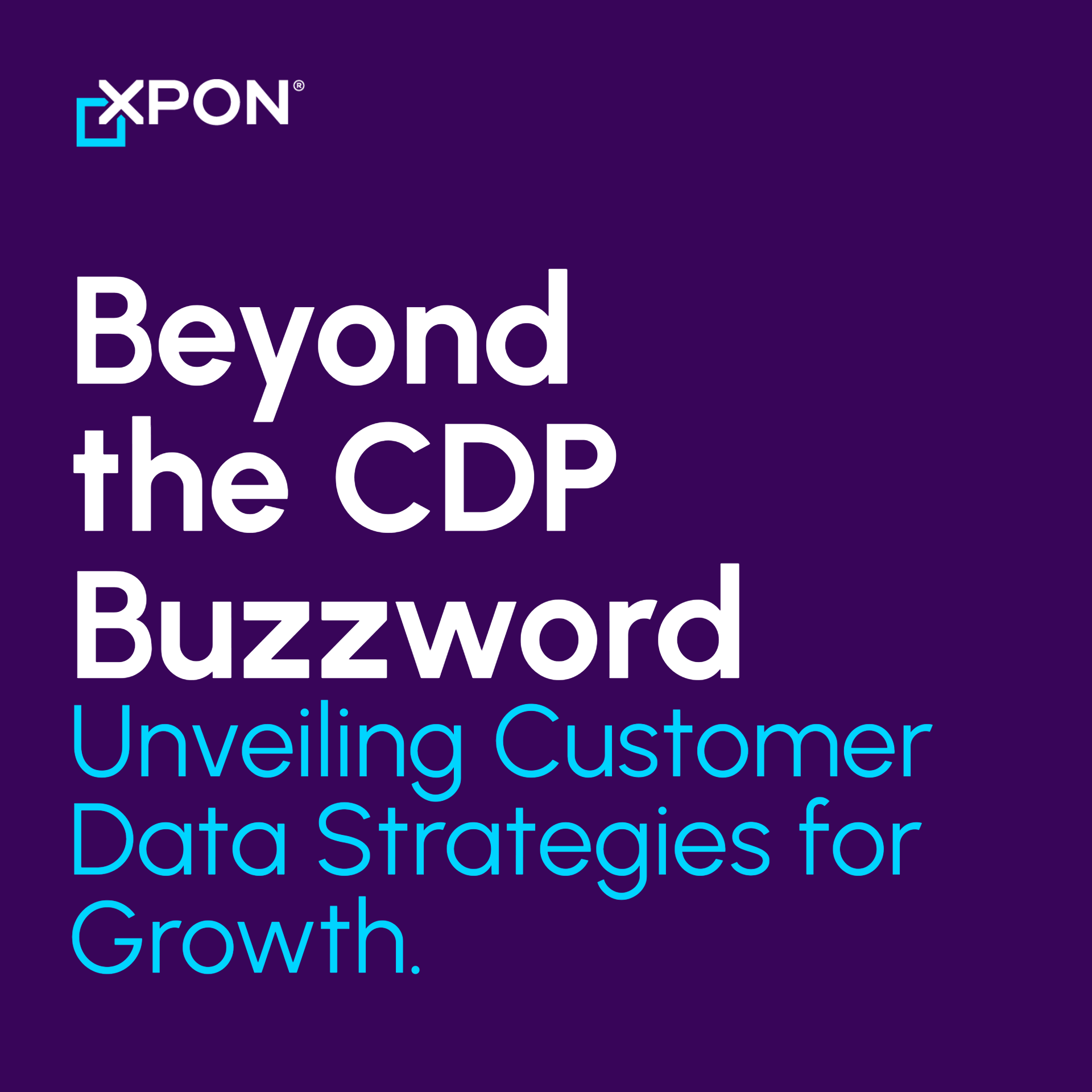 On-Demand Webinar: Beyond the Customer Data Platform (CDP) Buzzword