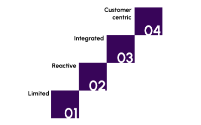 Understanding Digital Maturity in the Age of AI